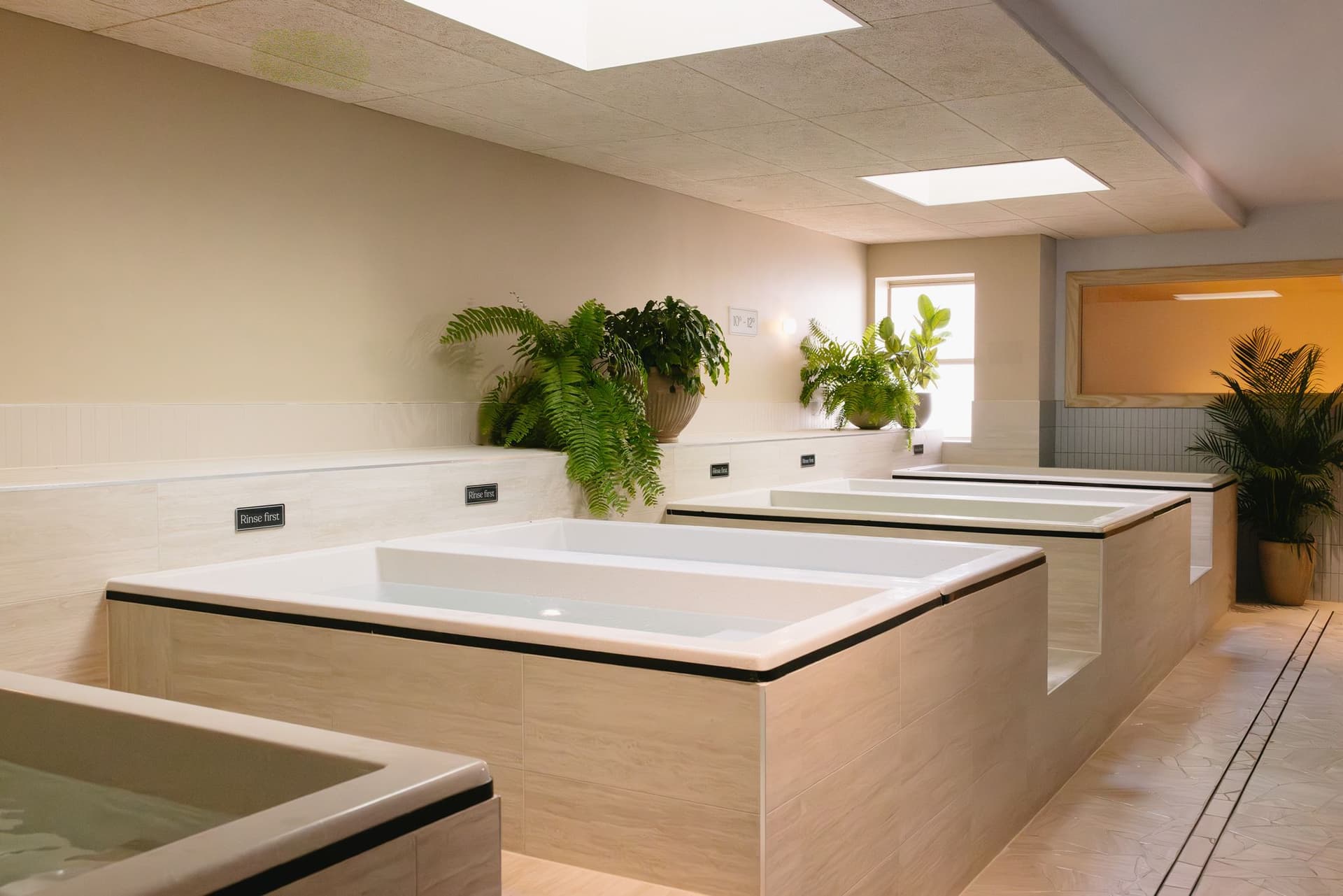 Four cold plunge baths in a skylit room with rinse first signs, potted ferns on the ledge and a warm-lit sauna doorway beyond